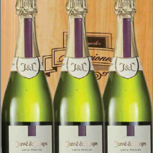CAVA REF.  102 JUVE &  CAMPS